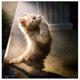 ������ ��� Relative