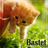 ������ ��� B�stet