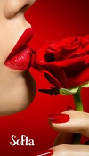 ������ ��� Sofi�