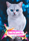 ������ ��� HuskyLusky